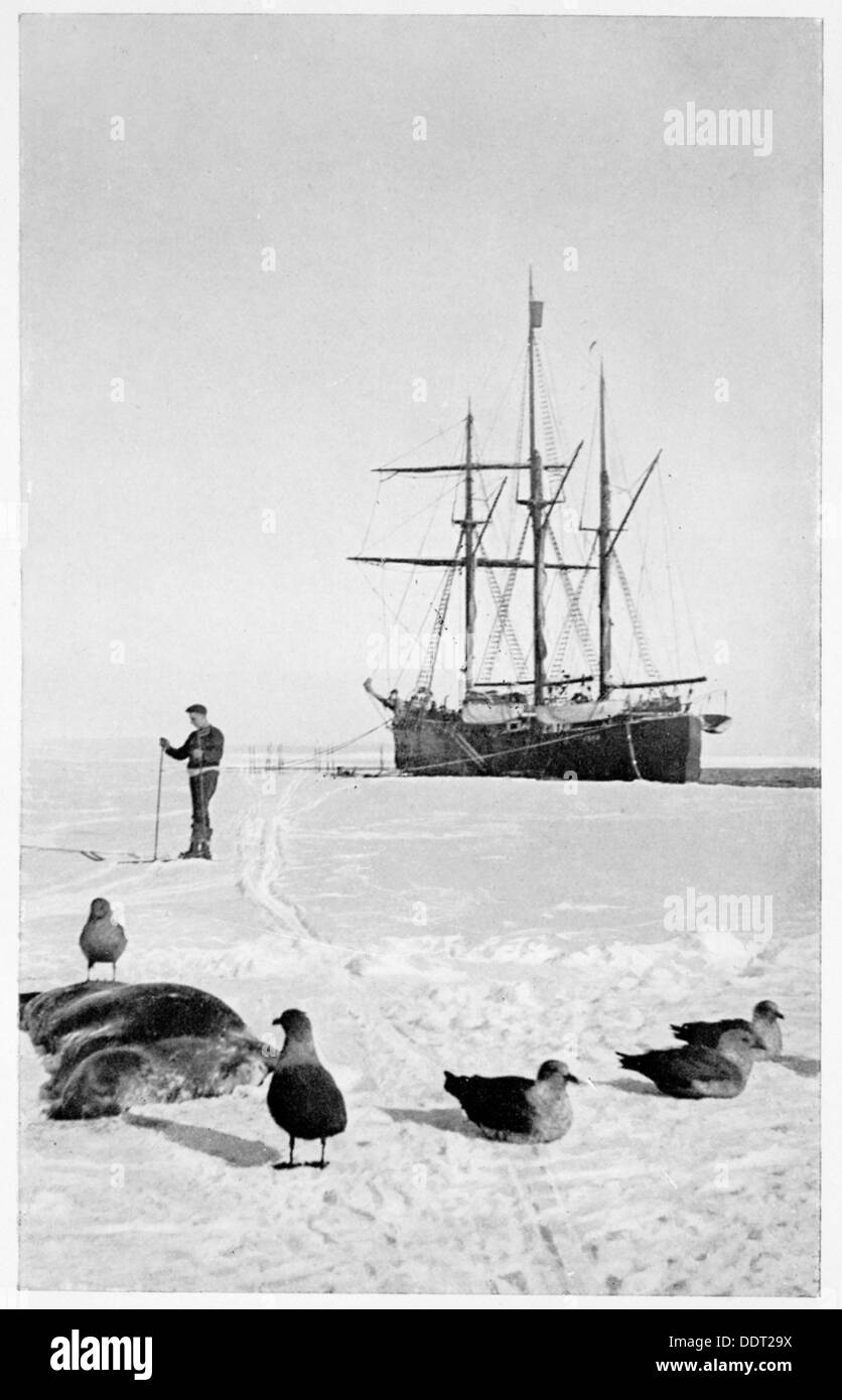 The 'Fram' in the Bay of Whales, Antarctica, 1911-1912. Artist: Unknown Stock Photo