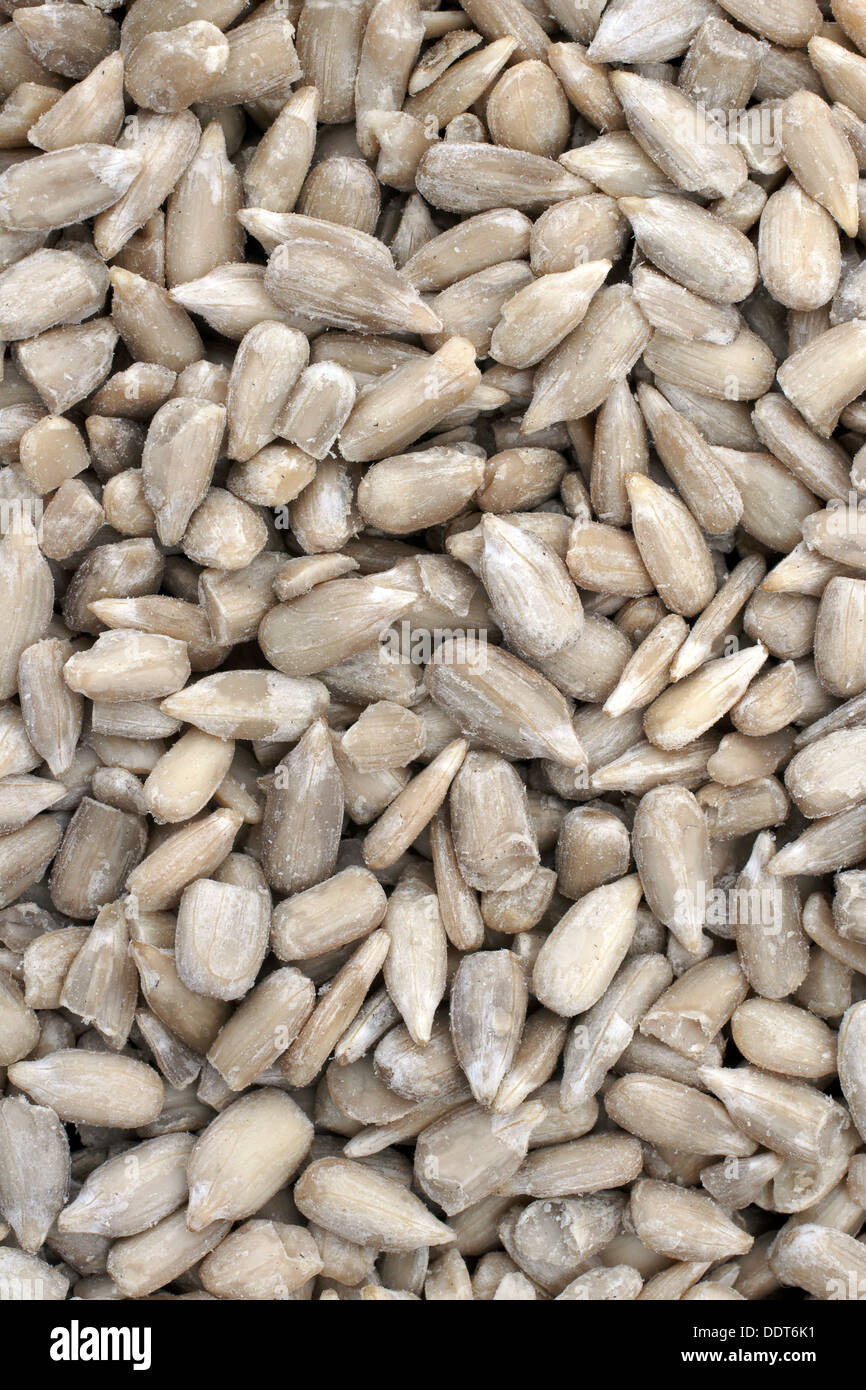 Sunflower hearts the kernel of the sunflower seed a popular whole food and used as a bird feed Stock Photo