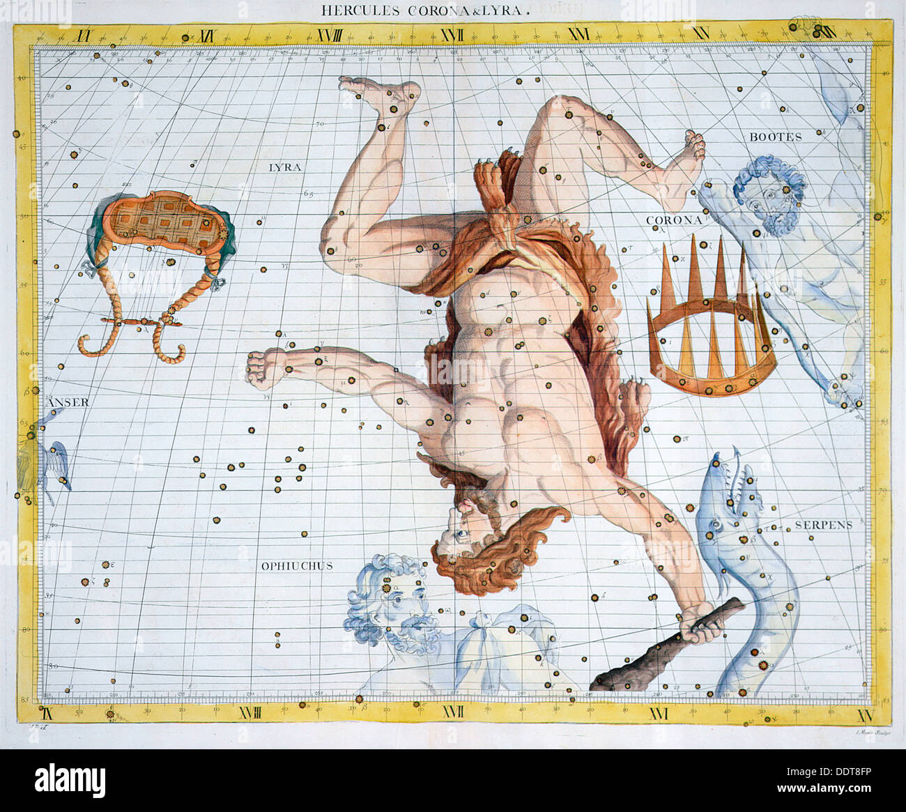 Constellations of hercules hi-res stock photography and images - Alamy