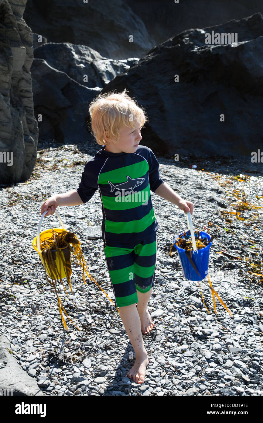 Young Boy collecting Seaweed on Tunnels Beaches, North