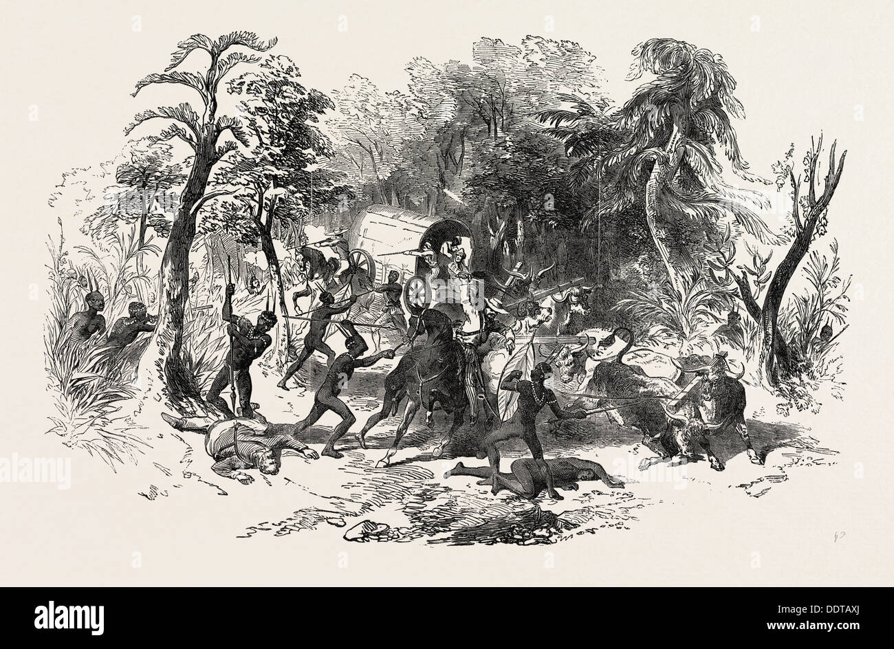ATTACK ON COLONISTS' WAGGON, BY KAFFIRS, SOUTH AFRICA, 1851 engraving Stock Photo