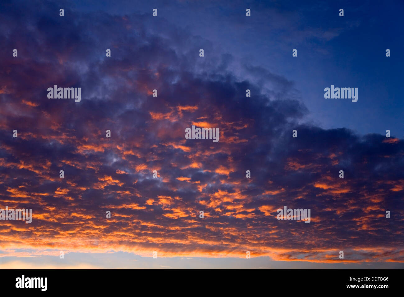 red sky with altocumulus at sunset Stock Photo - Alamy