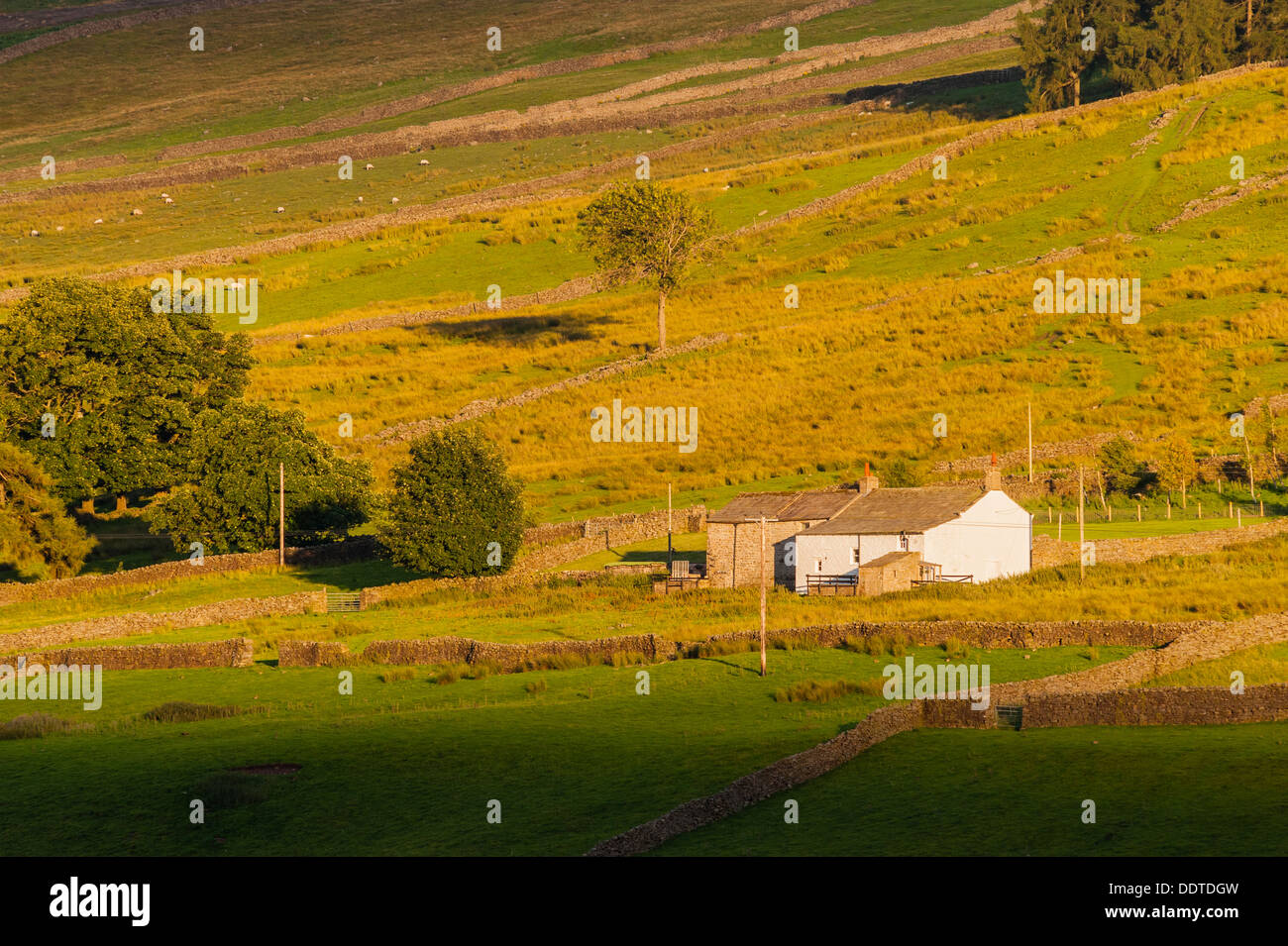 A rural cottage in Low Row , Swaledale , North Yorkshire , England , Britain , Uk Stock Photo