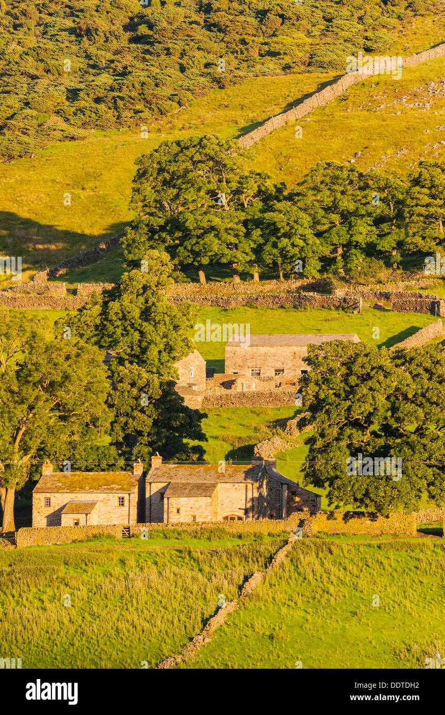 A rural cottage in Low Row , Swaledale , North Yorkshire , England