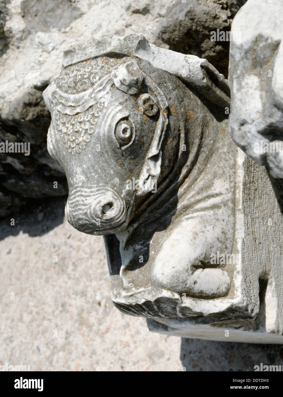 Bull's head, Cumae, near Naples, Italy. Artist: Werner Forman Stock Photo