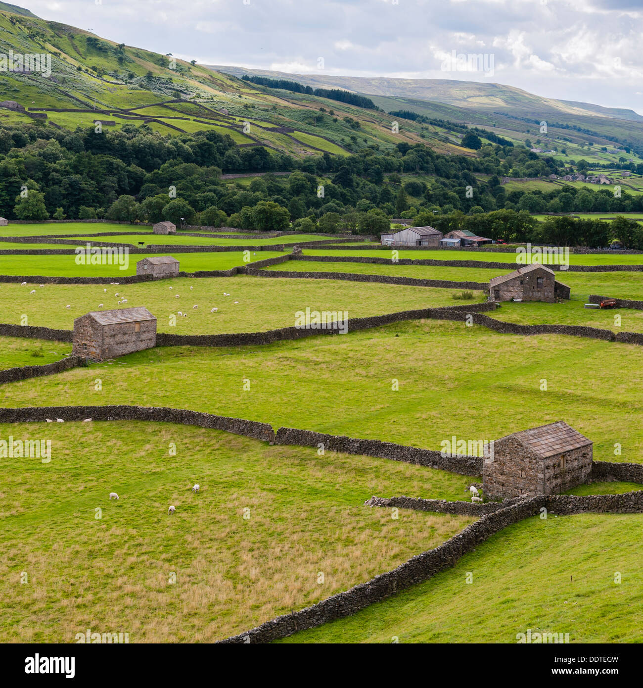 Gunnerside in Swaledale , North Yorkshire , England, Britain, Uk Stock Photo