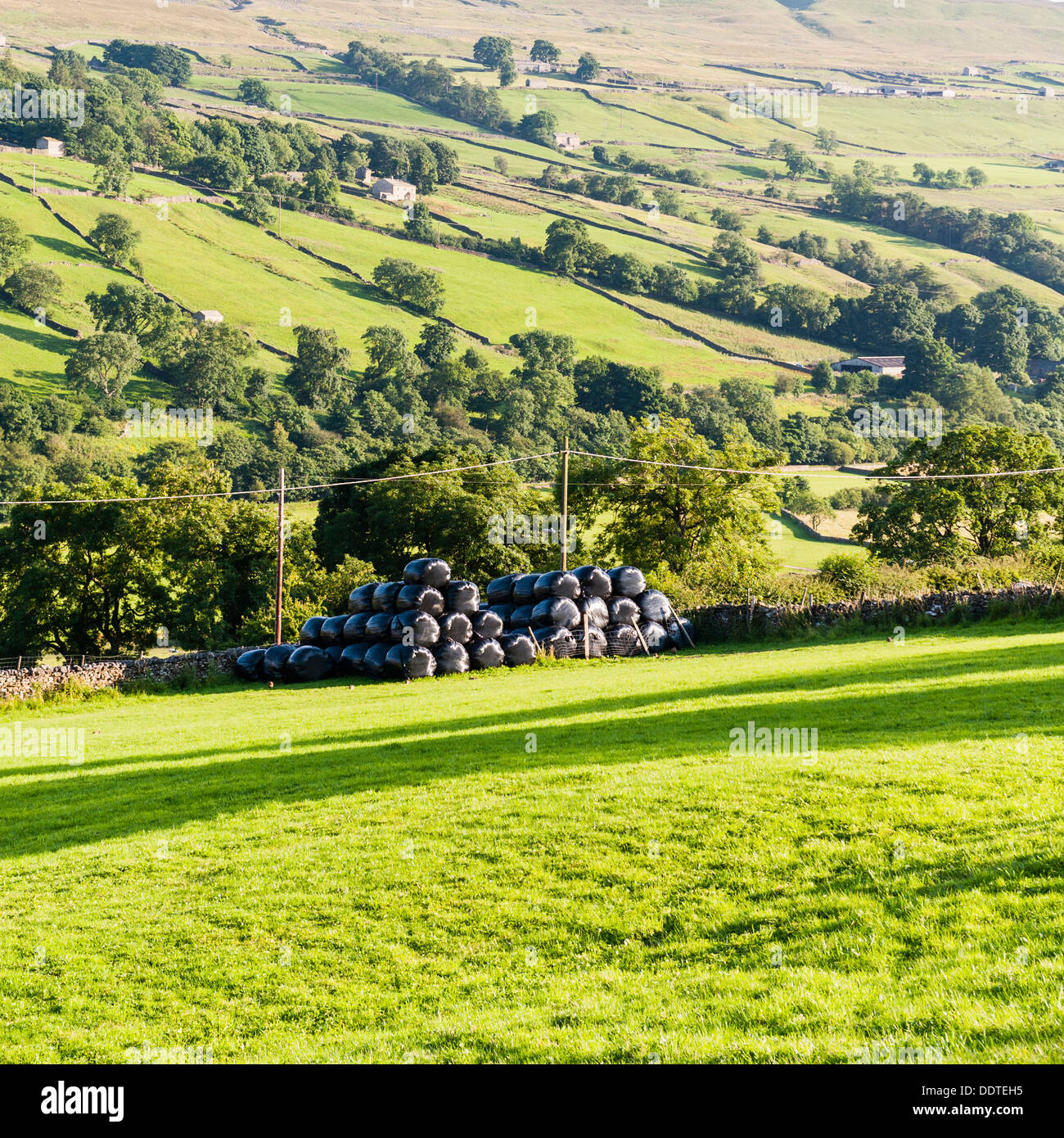 Round bales wrapped in black plastic in Low Row in Swaledale , North Yorkshire , England, Britain, Uk Stock Photo