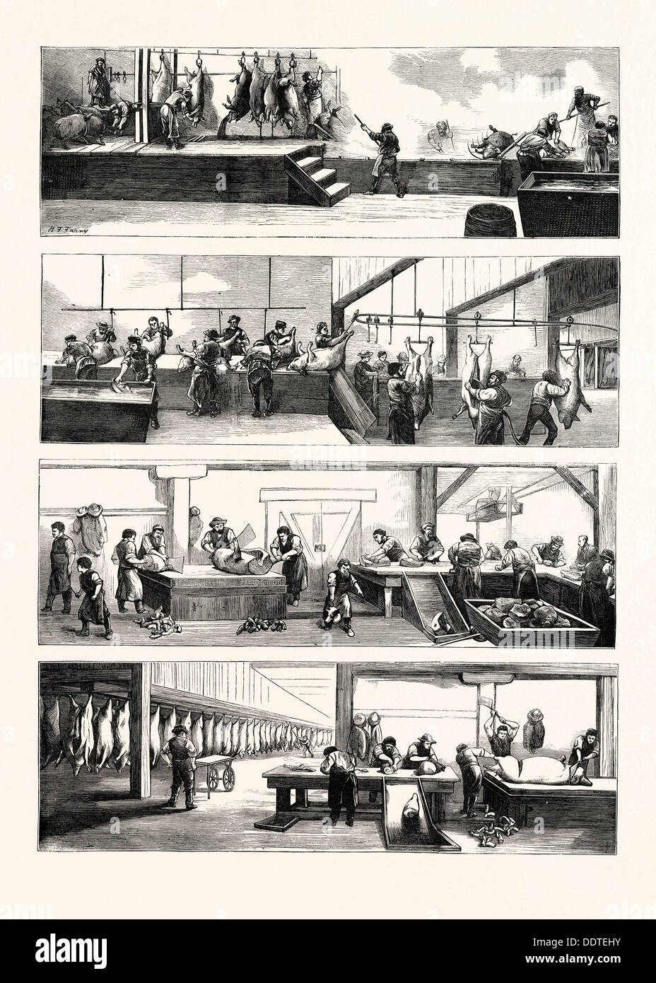 AMERICAN INDUSTRY AND COMMERCE, HOG-SLAUGHTERING AT CINCINNATI, UNITED STATES OF AMERICA, US, USA, 1873 engraving Stock Photo