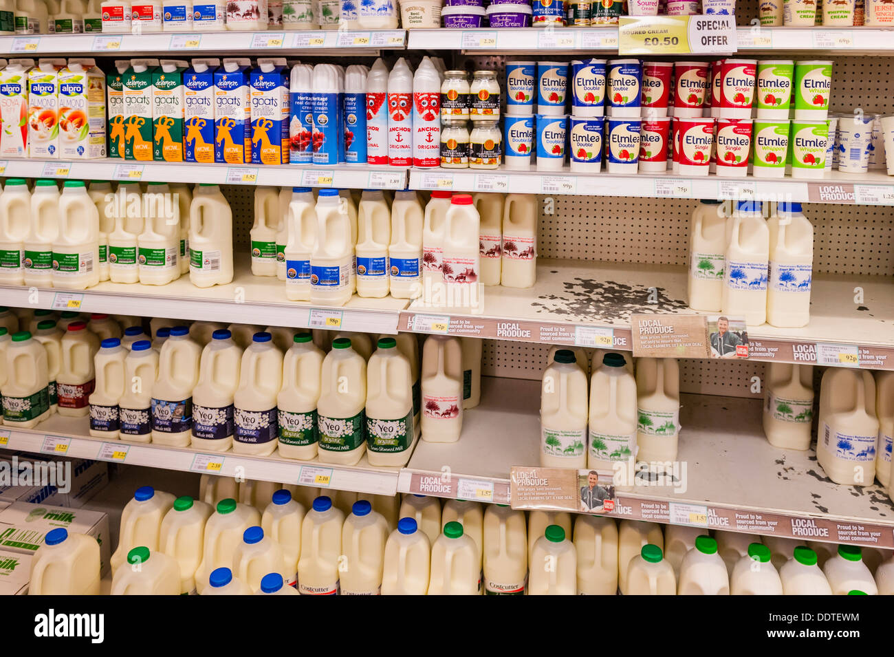 Milk for sale on the shelf in a supermarket in the Uk Stock Photo - Alamy