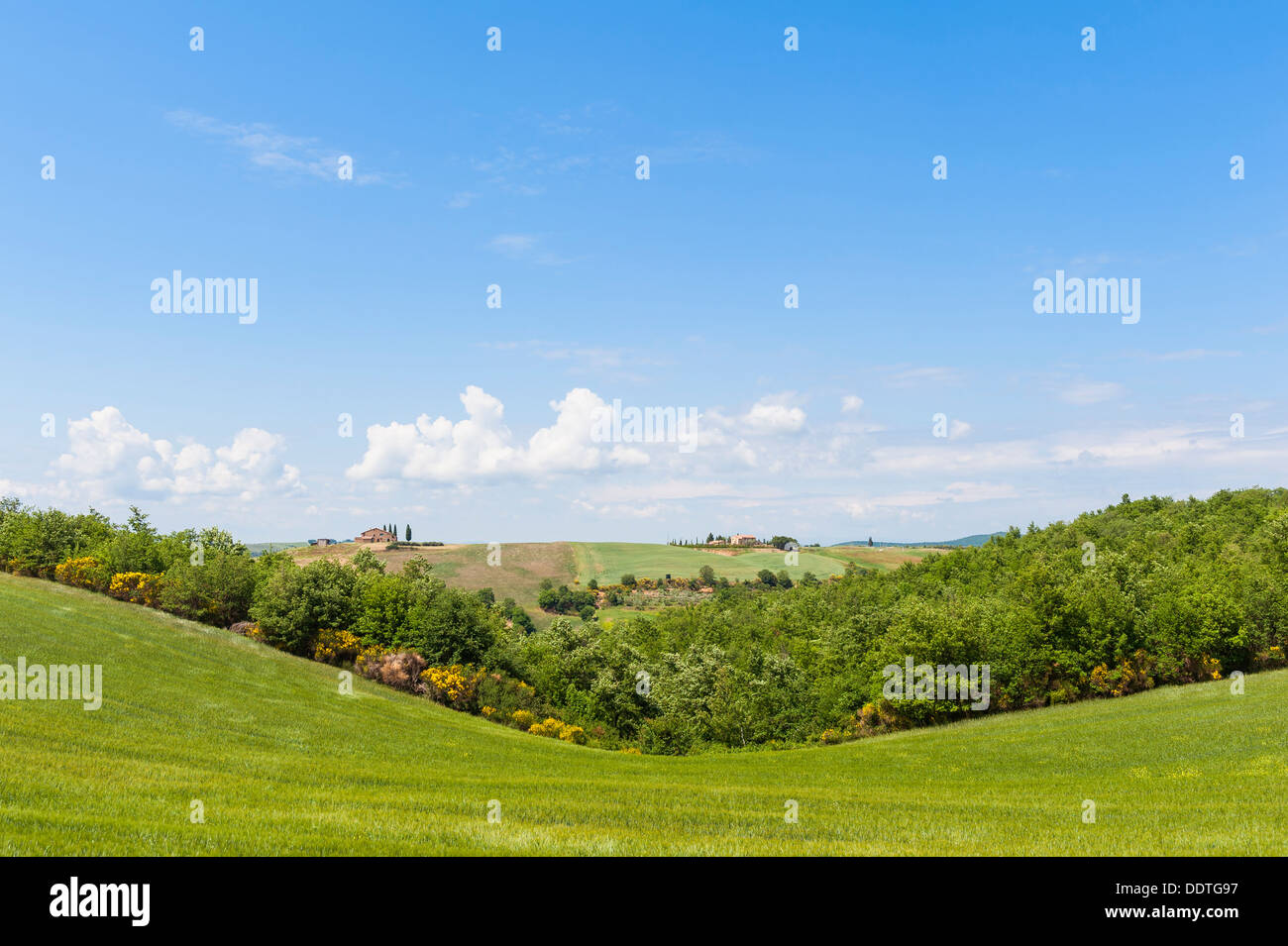 Rolling hills of Tuscany Italy Stock Photo - Alamy