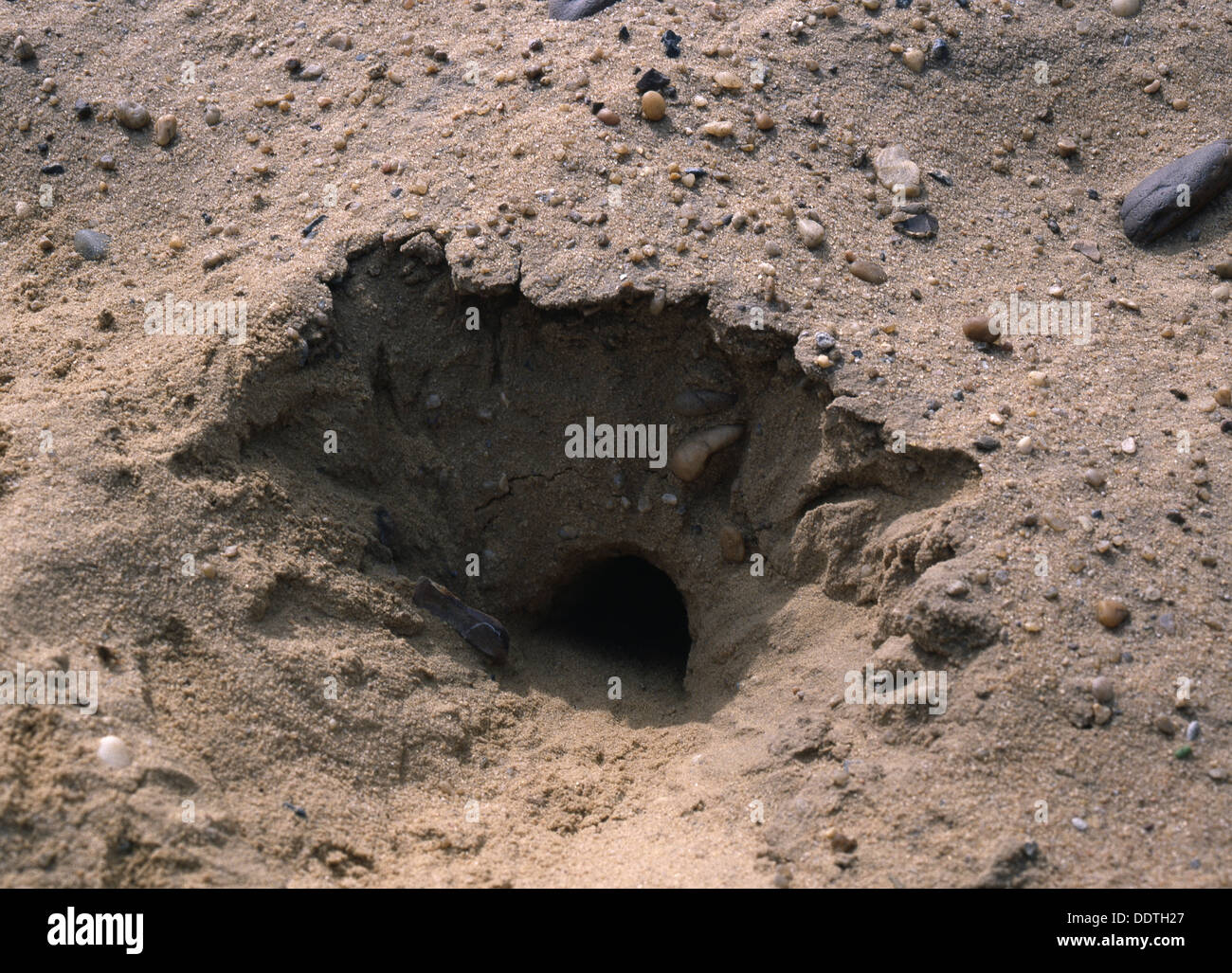 A scarab hole at Abusir, Egypt. Artist: Werner Forman Stock Photo