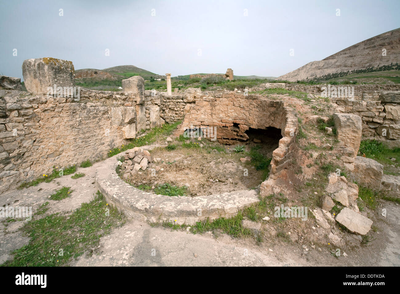 The House of the Hunting Scene, Bulla Regia, Tunisia. Artist Samuel