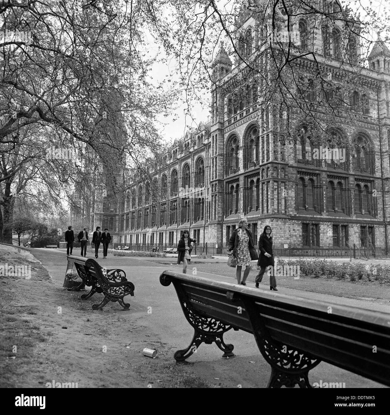 Natural History Museum, London, 1972. Artist: John Gay Stock Photo