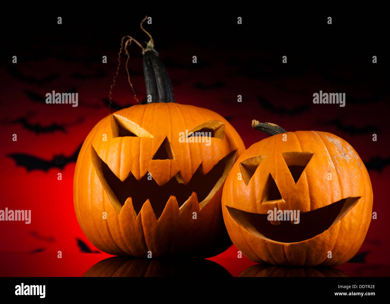 Halloween background with bats Stock Photo