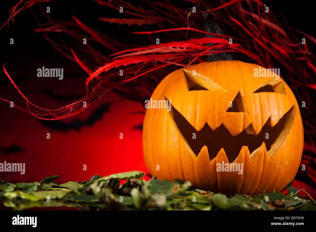 Halloween background with bats Stock Photo - Alamy