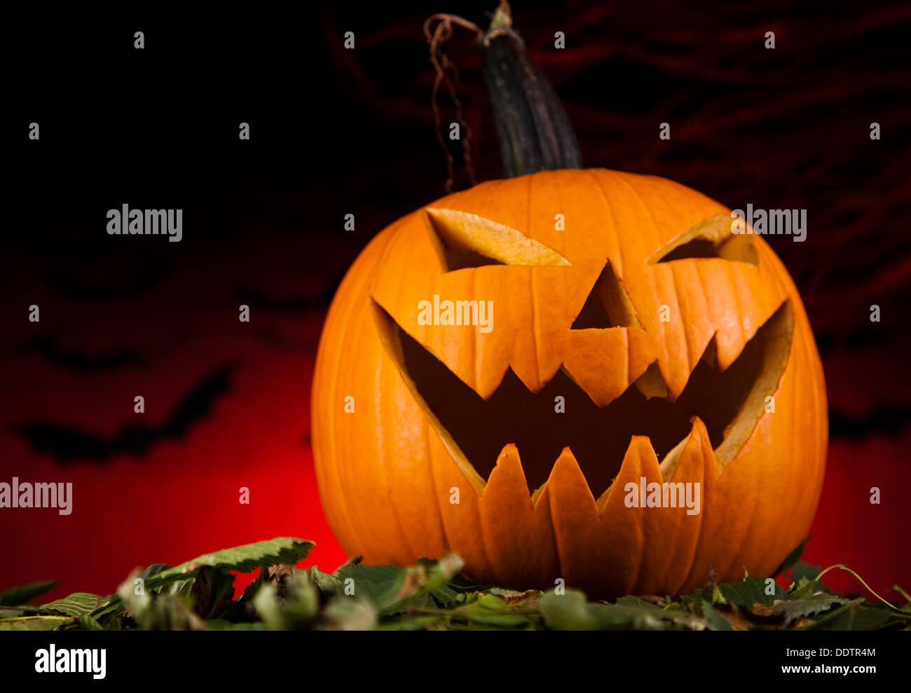 Halloween background with bats Stock Photo - Alamy