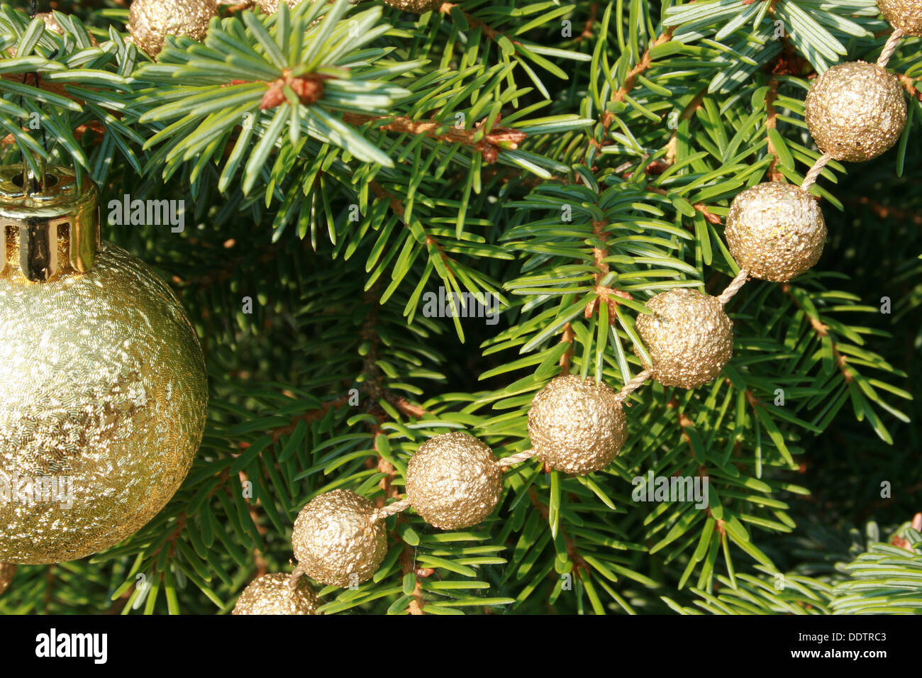 Christmas decorations on the branches of a spruce Christmas tree in Morden,  Manitoba, Canada Stock Photo - Alamy