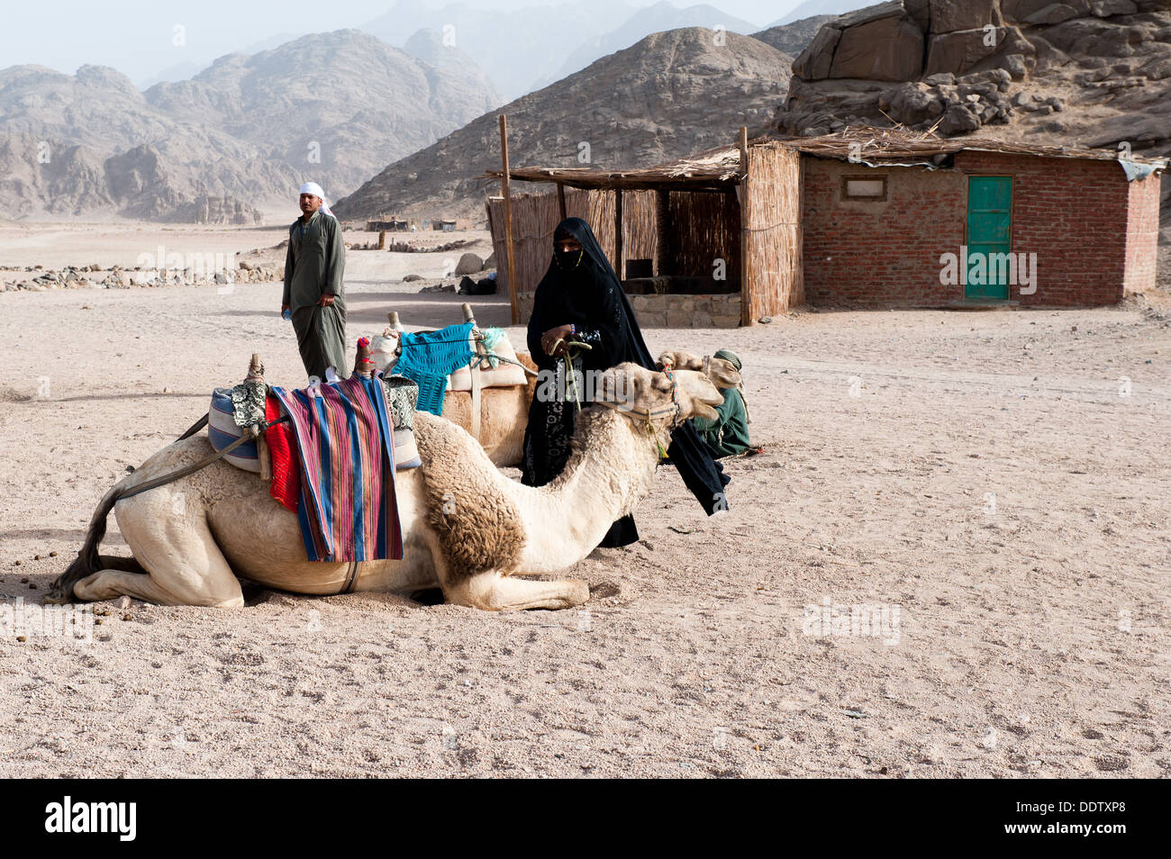 Bedouin village, Egypt Stock Photo Alamy