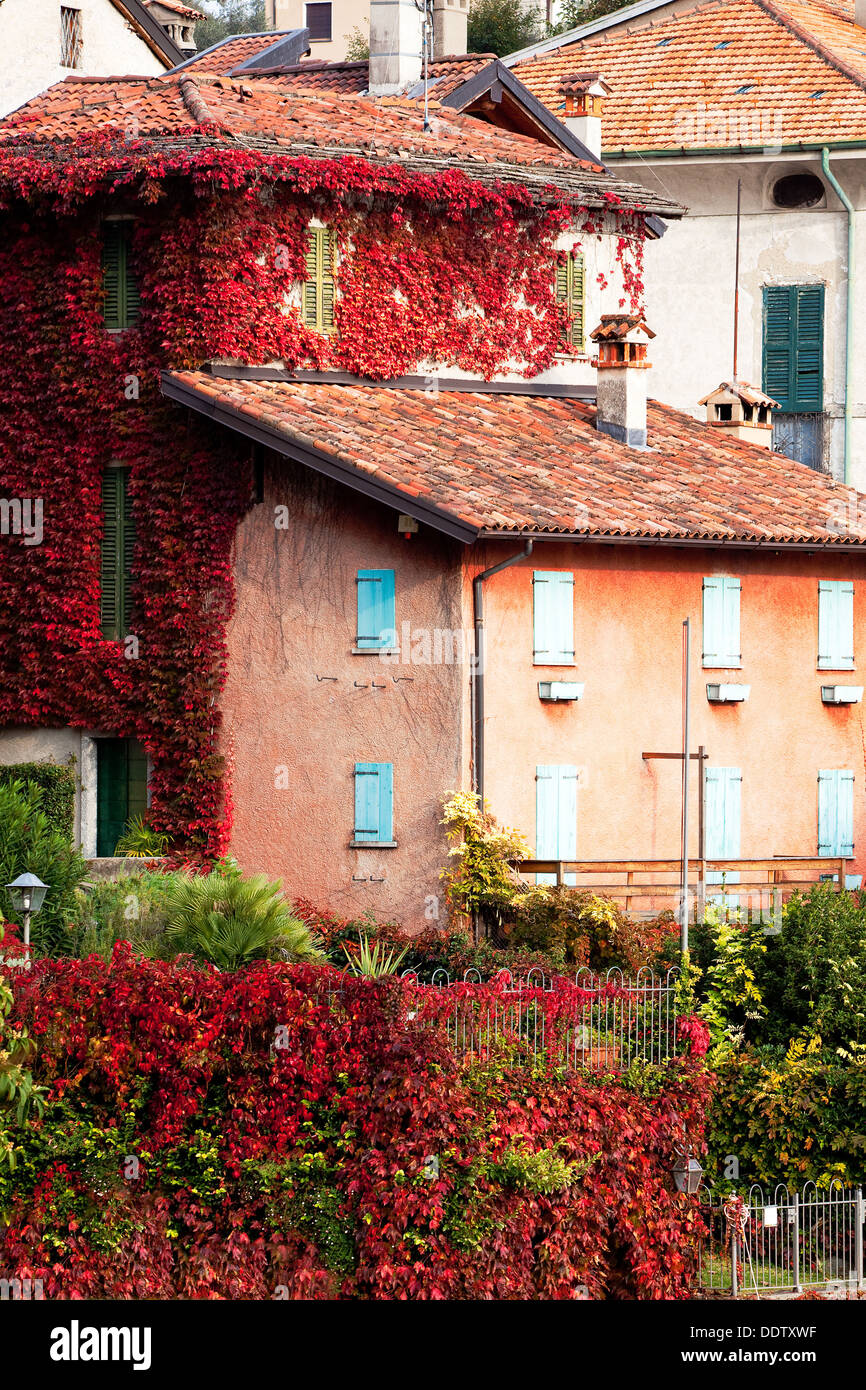 Detail view of Ossuccio village houses seen from shoreline of Lake Como, ivy turning red in autumn pale afternoon sunlight, Nort Stock Photo