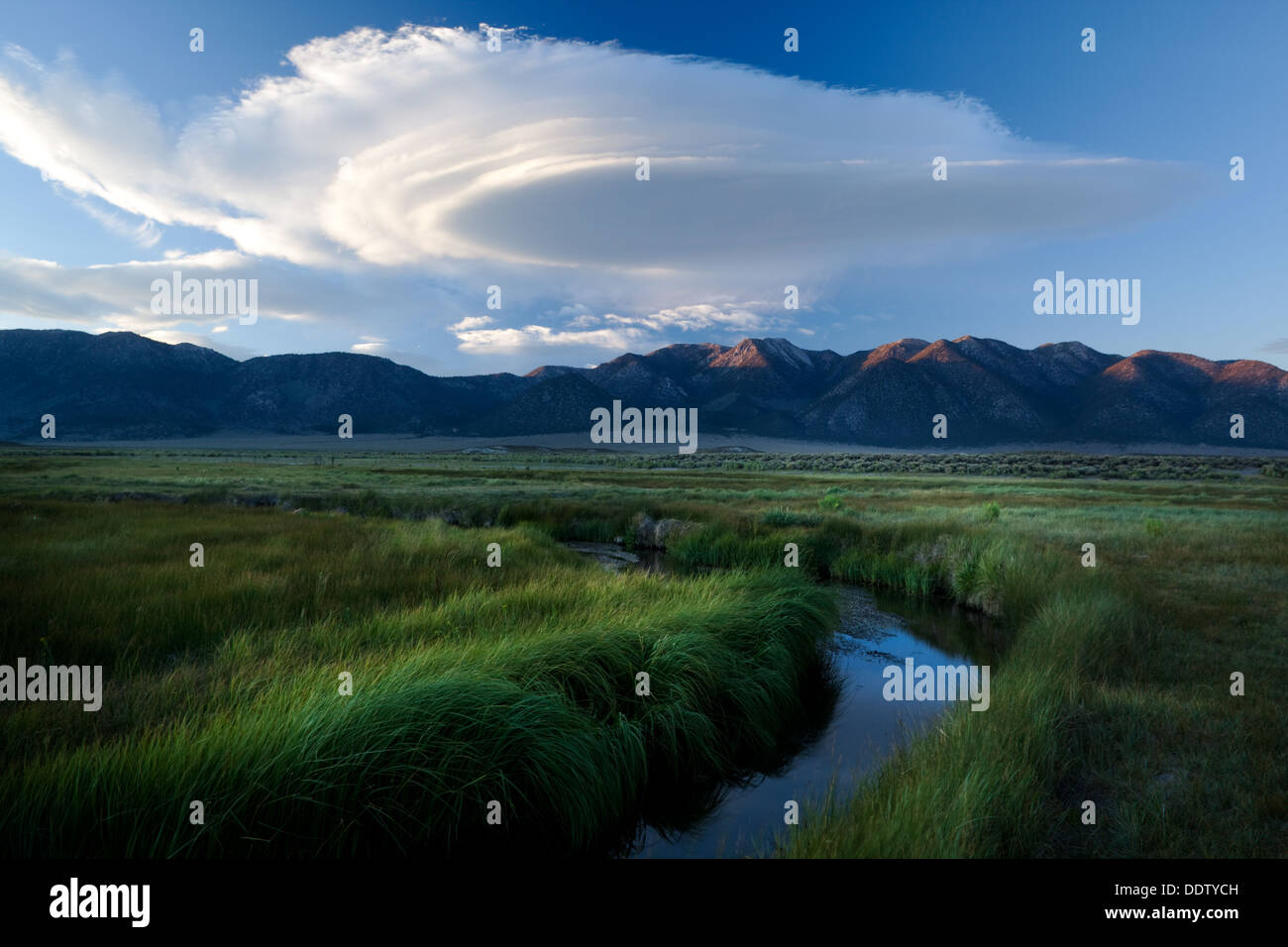 Owens River curving through grassy flatlands with dramatic white lenticular clouds, reflected in the water, and Sierra Nevada mo Stock Photo