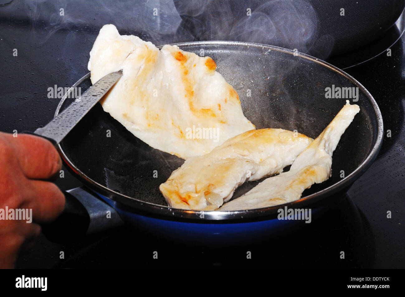 Pan frying chicken fillets Stock Photo Alamy