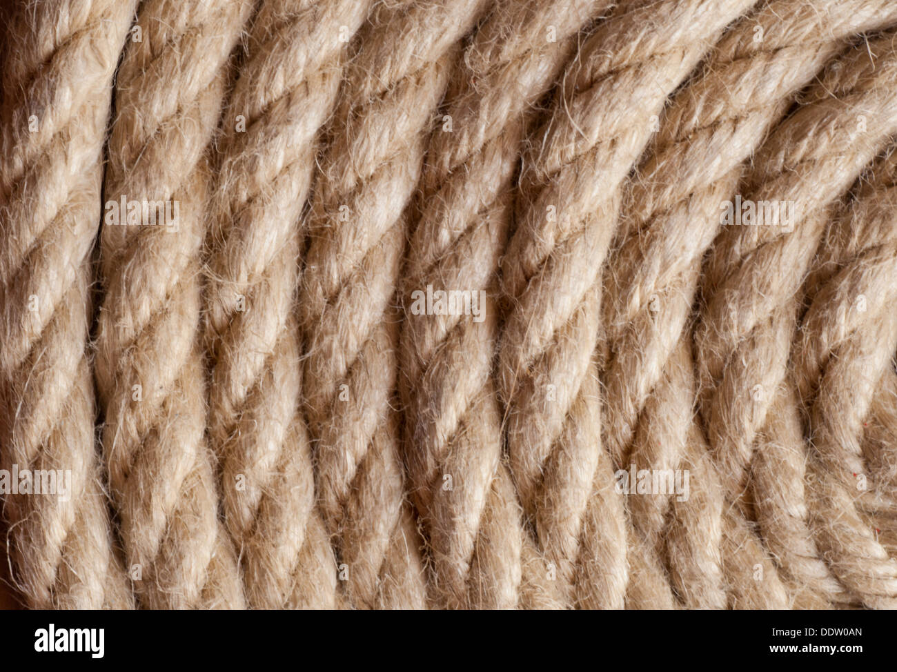 Aged Rope on the old paper background Stock Photo - Alamy