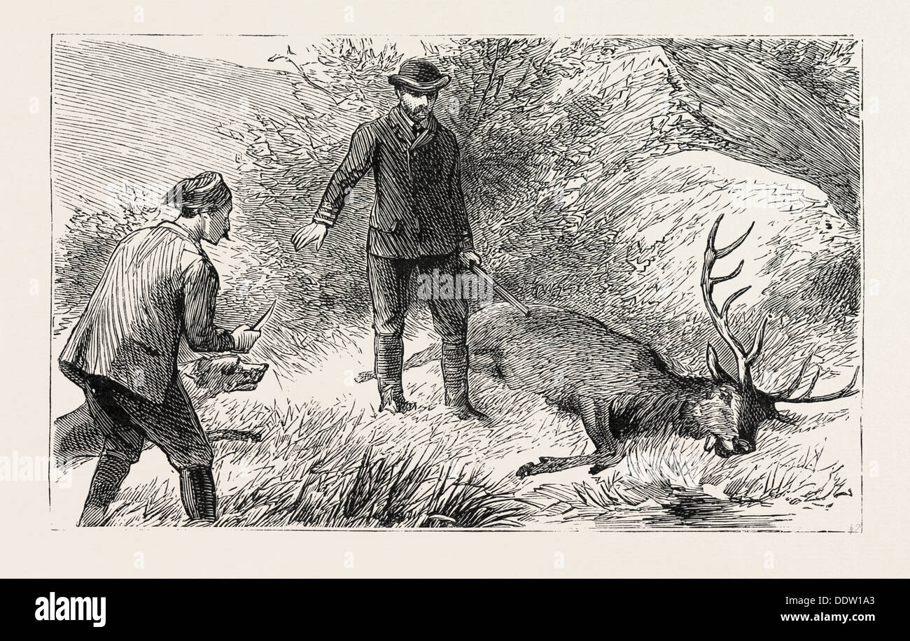 The coup de grace hires stock photography and images Alamy