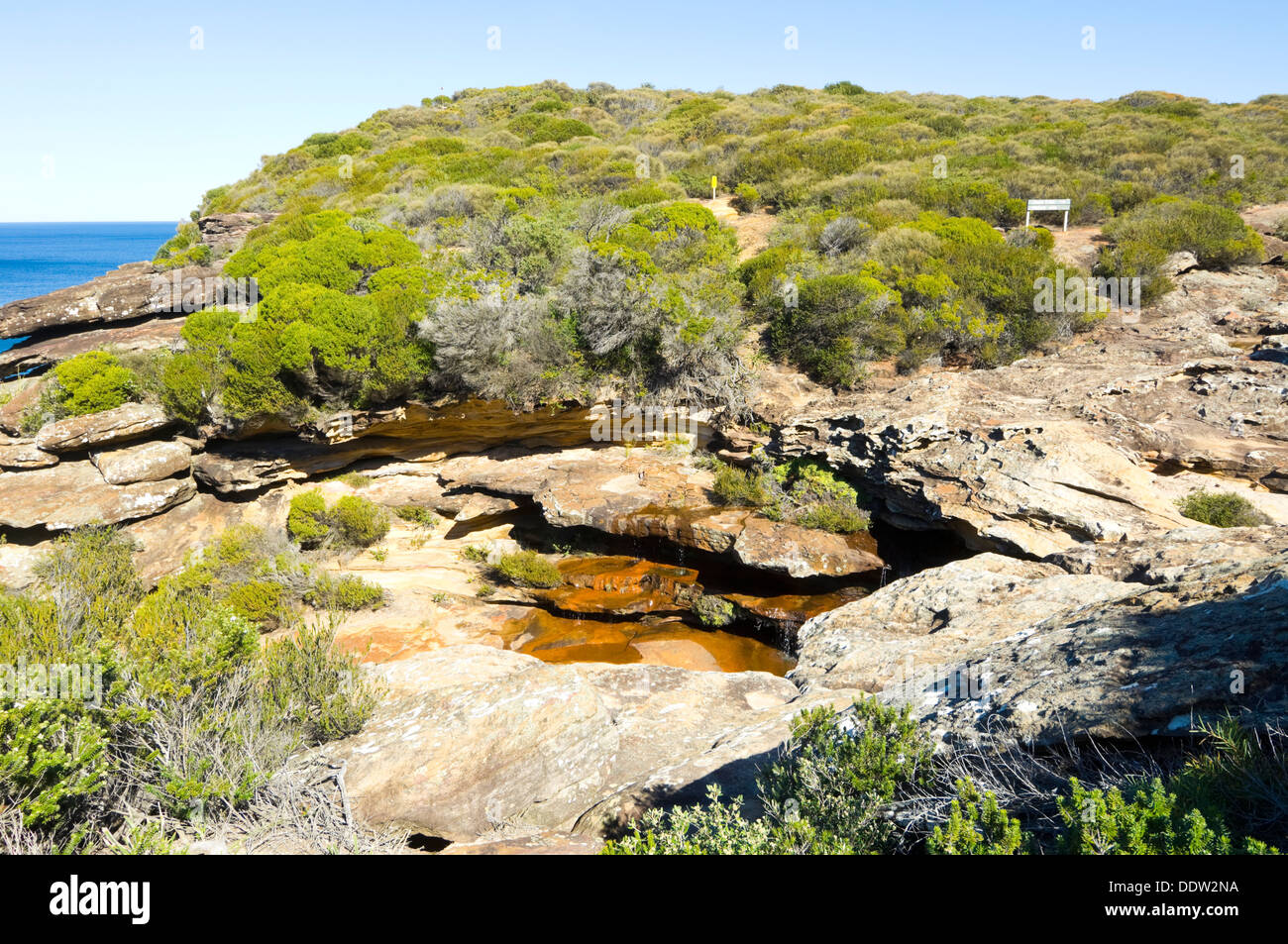 Creek and Coast Path Royal National Park New South Wales Australia Stock Photo Alamy