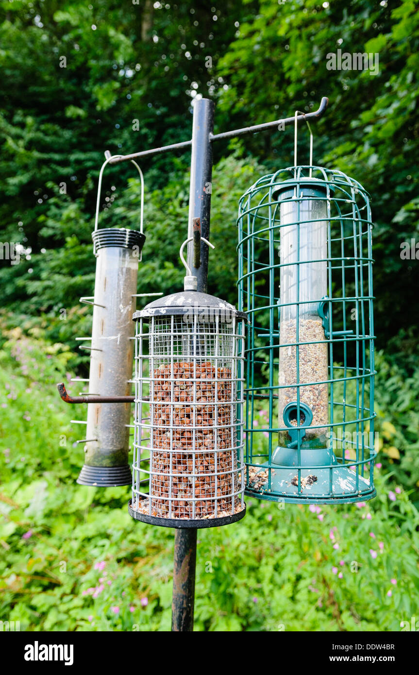 Squirrel-proof bird feeders with peanuts, nyger seed and mixed seeds. Stock Photo