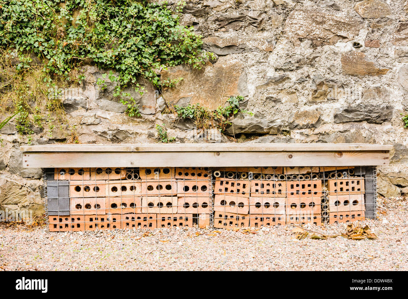 A wildlife-friendly garden bench with lots of holes for insects Stock Photo