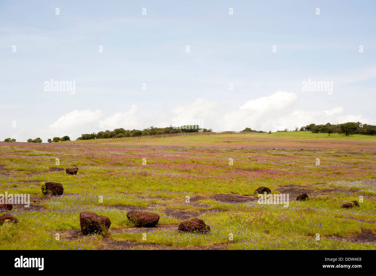 Scenic Landscape of Kass Plateau, UNESCO approved World Heritage Site Stock Photo