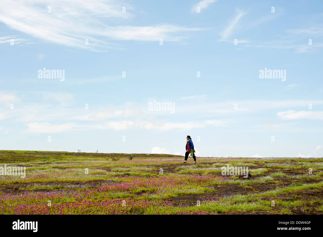 A tourist woman walking through Kass Plateau, UNESCO approved World Heritage Site Stock Photo