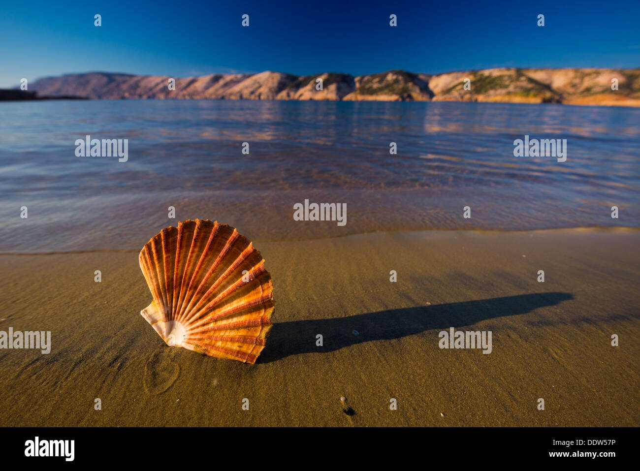 Beautiful landscapes, shells on the beach in Croatia Stock Photo