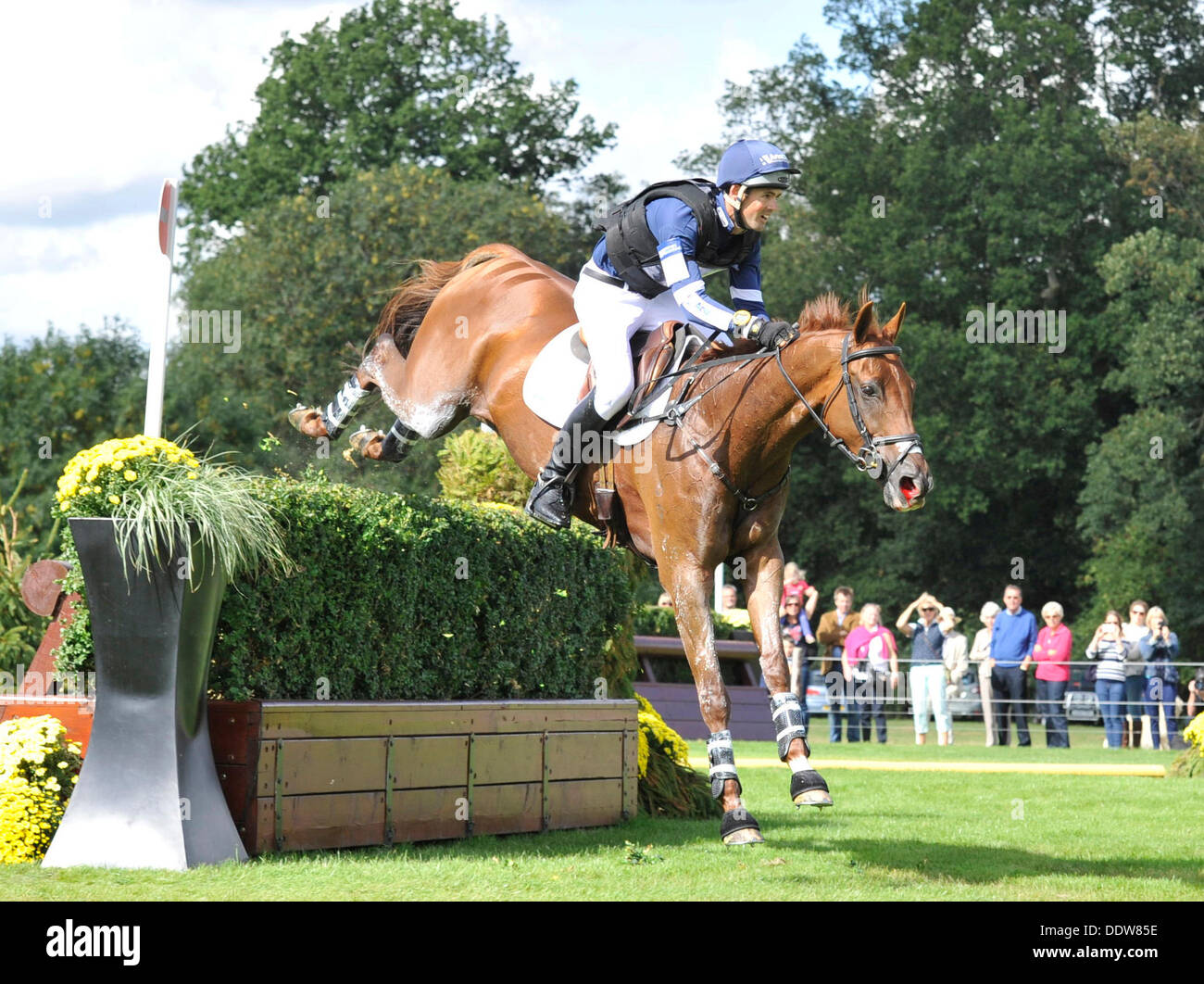 Horse nose bleed hires stock photography and images Alamy