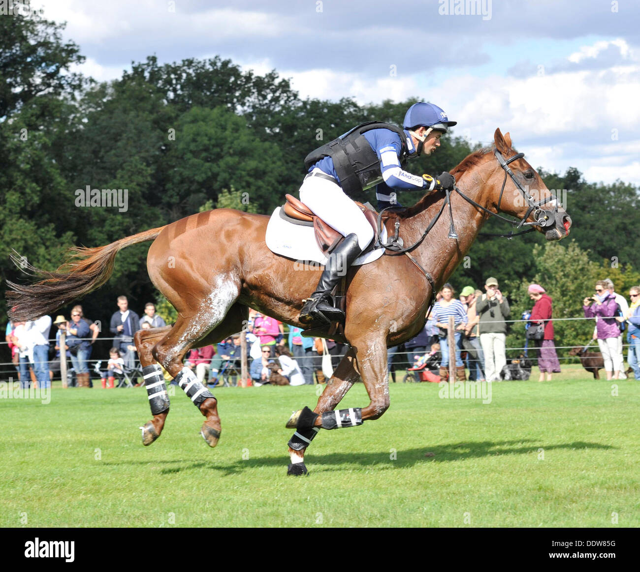 Horse nose bleed hires stock photography and images Alamy