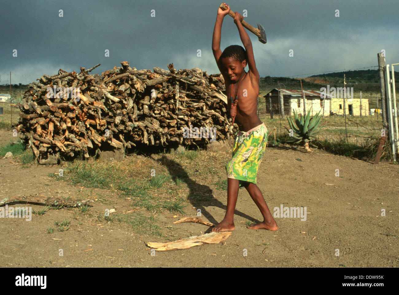 Chopping wood africa hi-res stock photography and images - Alamy