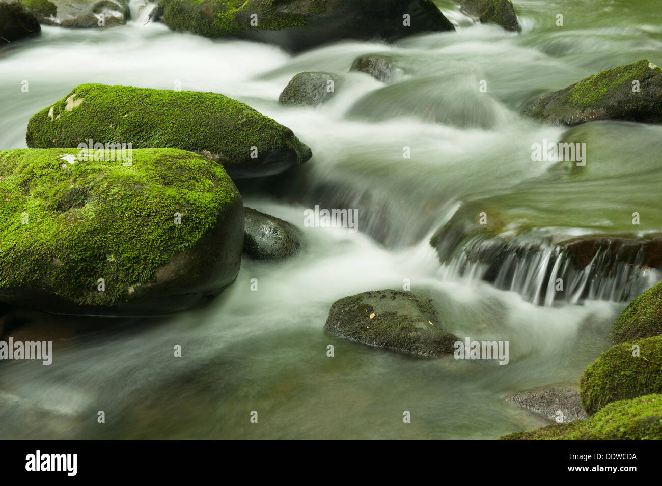 Rushing spring water hi-res stock photography and images - Alamy