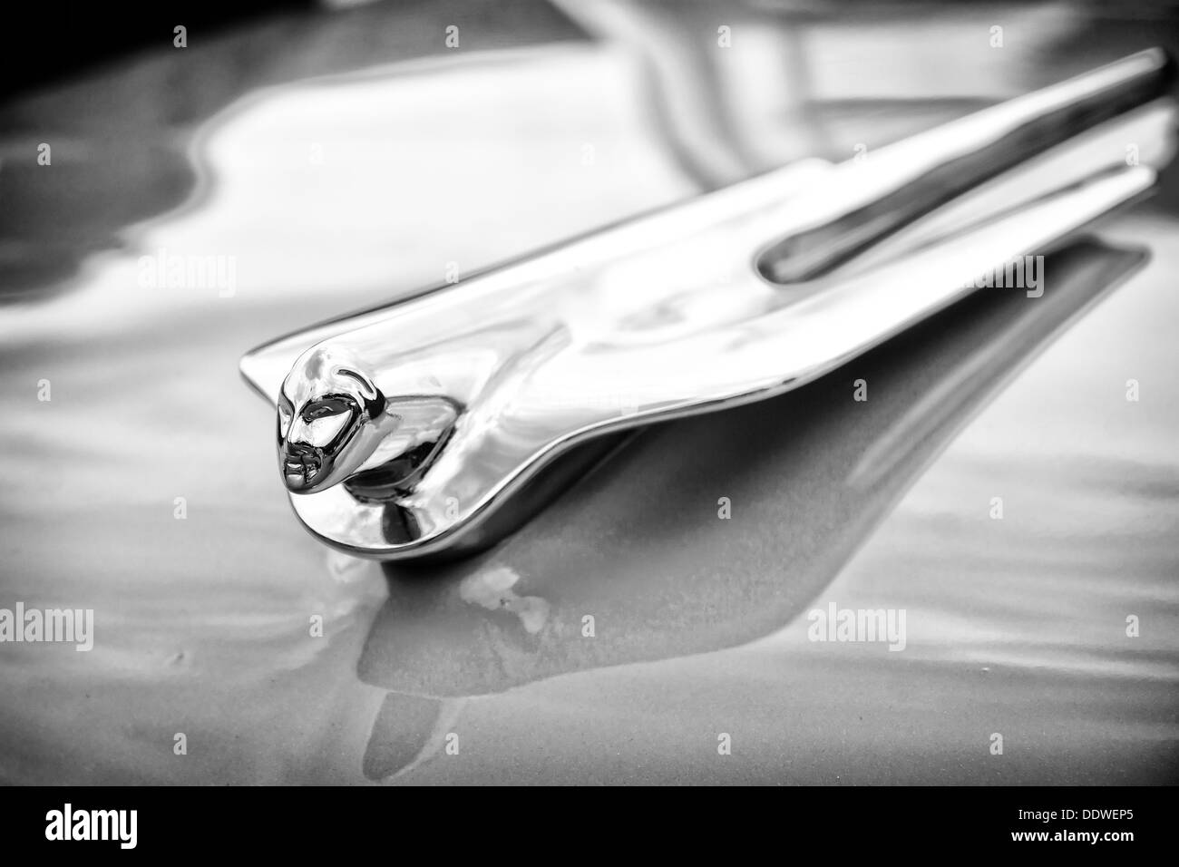 The emblem on the hood of the car Cadillac Series 62 Coupe de Ville, 1950 (black and white) Stock Photo