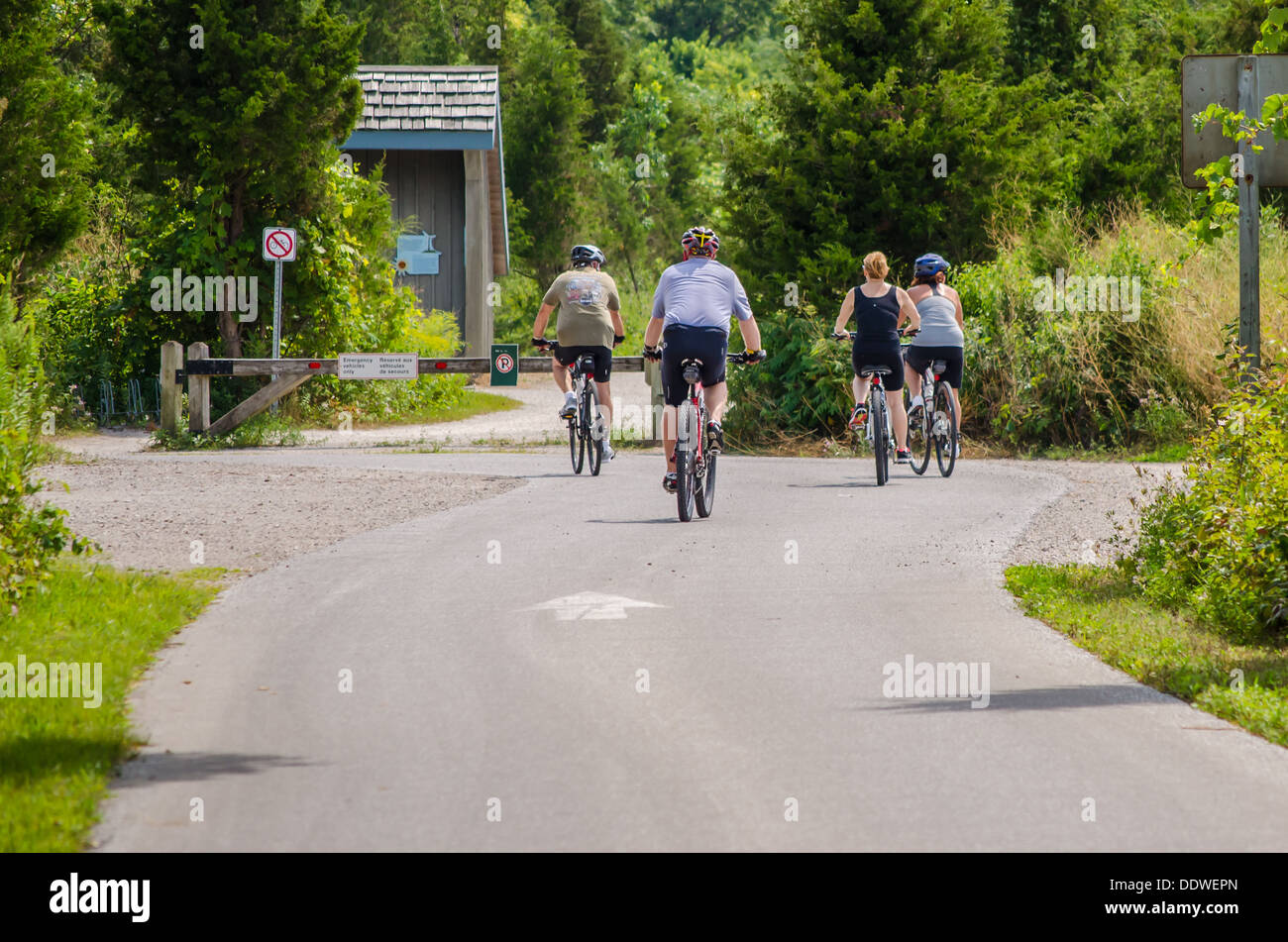 Bike riding at Point Pelee Stock Photo Alamy