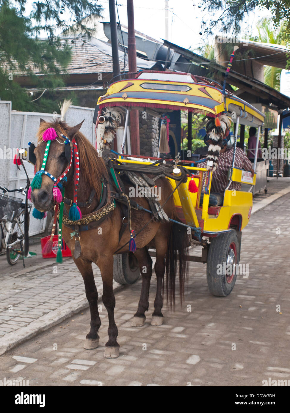 Horse cart, traditional Gili T transportation medium Stock Photo