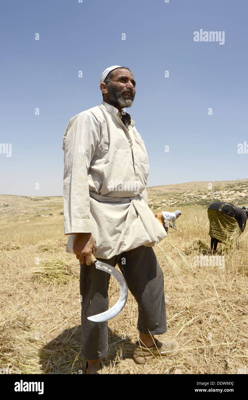 Sickle harvesting hires stock photography and images Alamy