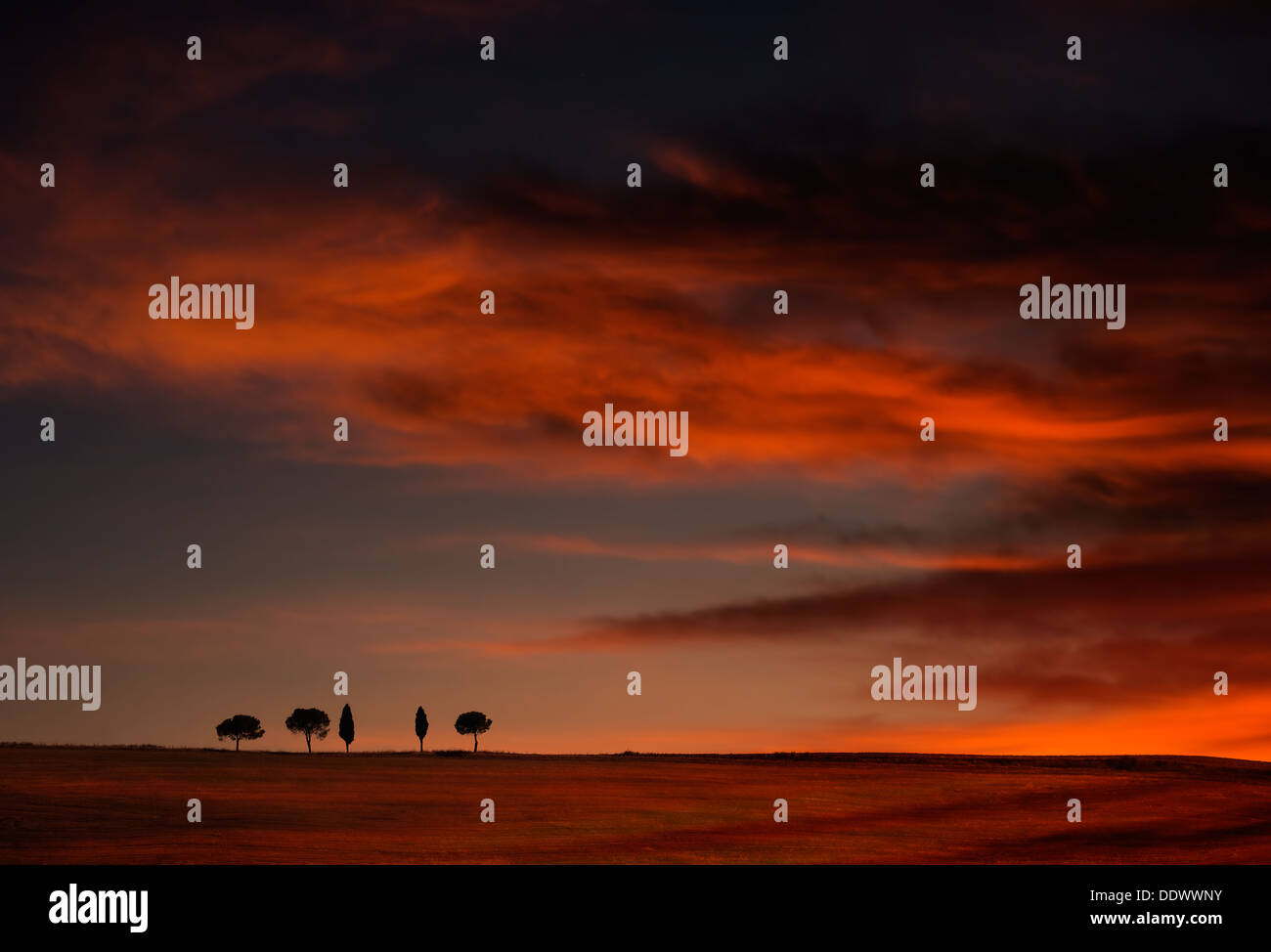 Big sky sunset horizon Stock Photo