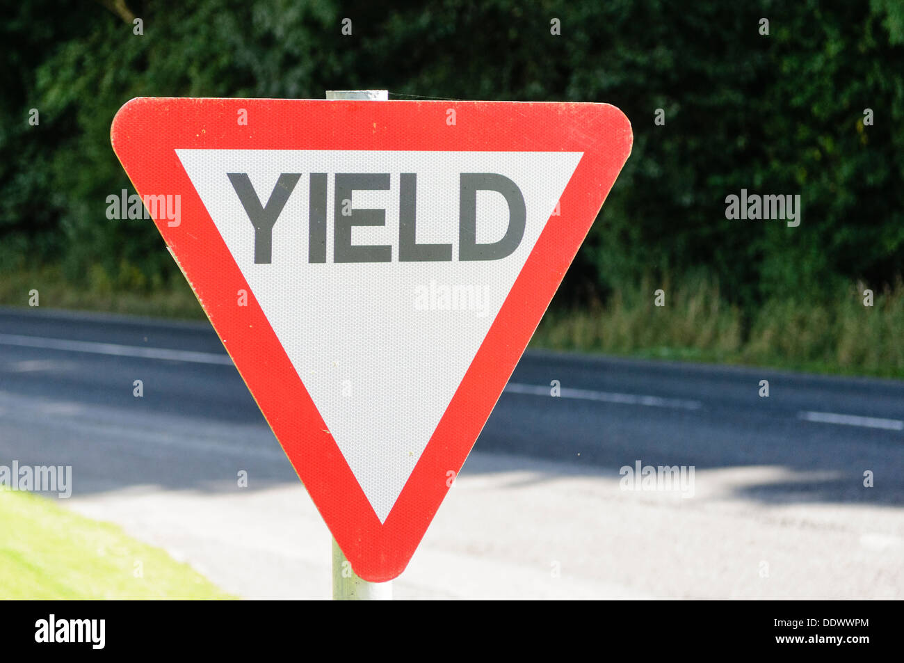 Yield (give-way) sign on an Irish rural road Stock Photo