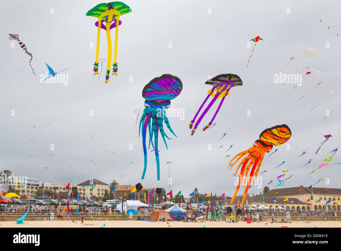 Kites flying at the Bondi Festival of the Winds 2013, Sydney Australia Stock Photo