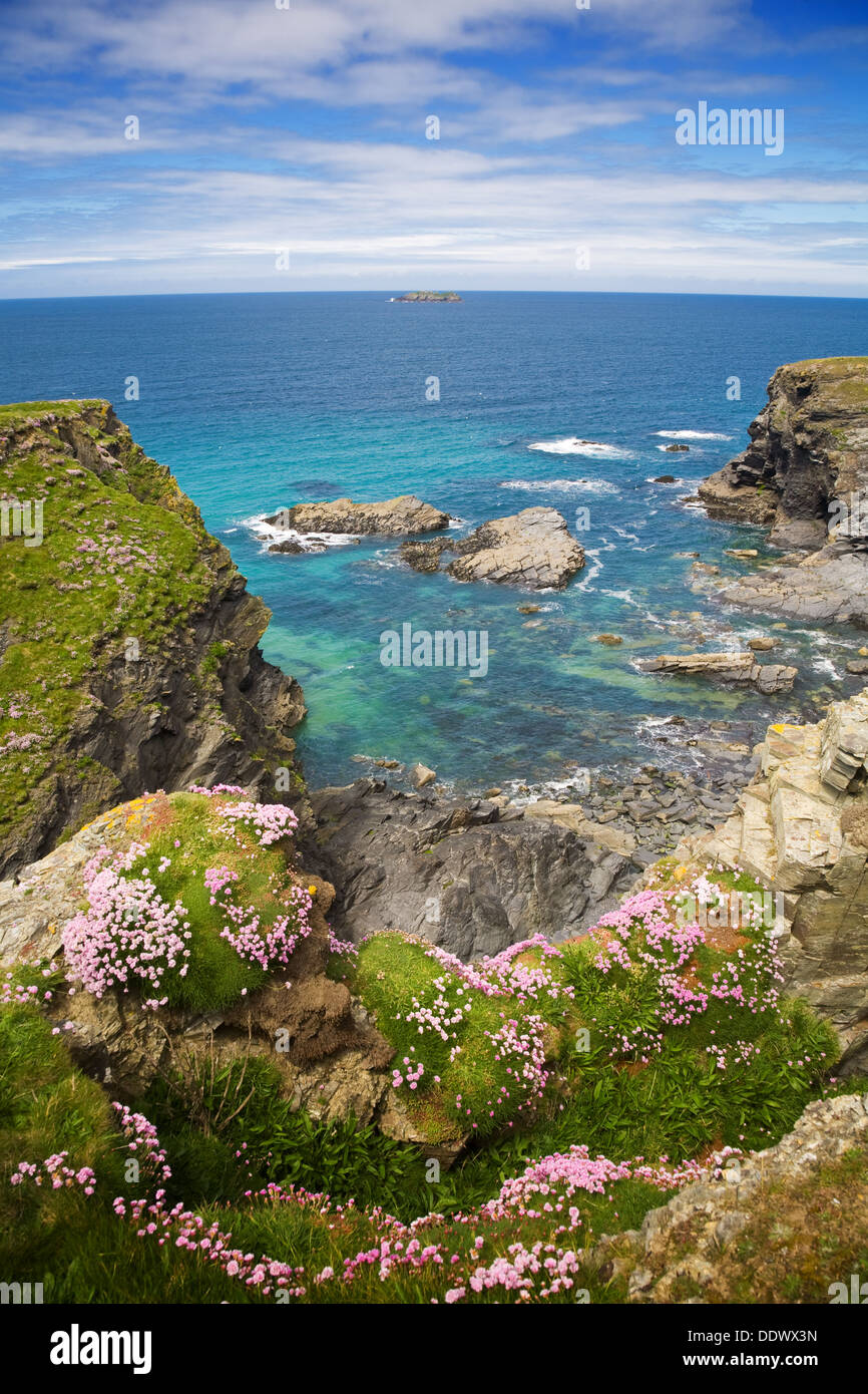 Cliffs and coastline around Padstow in Cornwall, UK. Stock Photo
