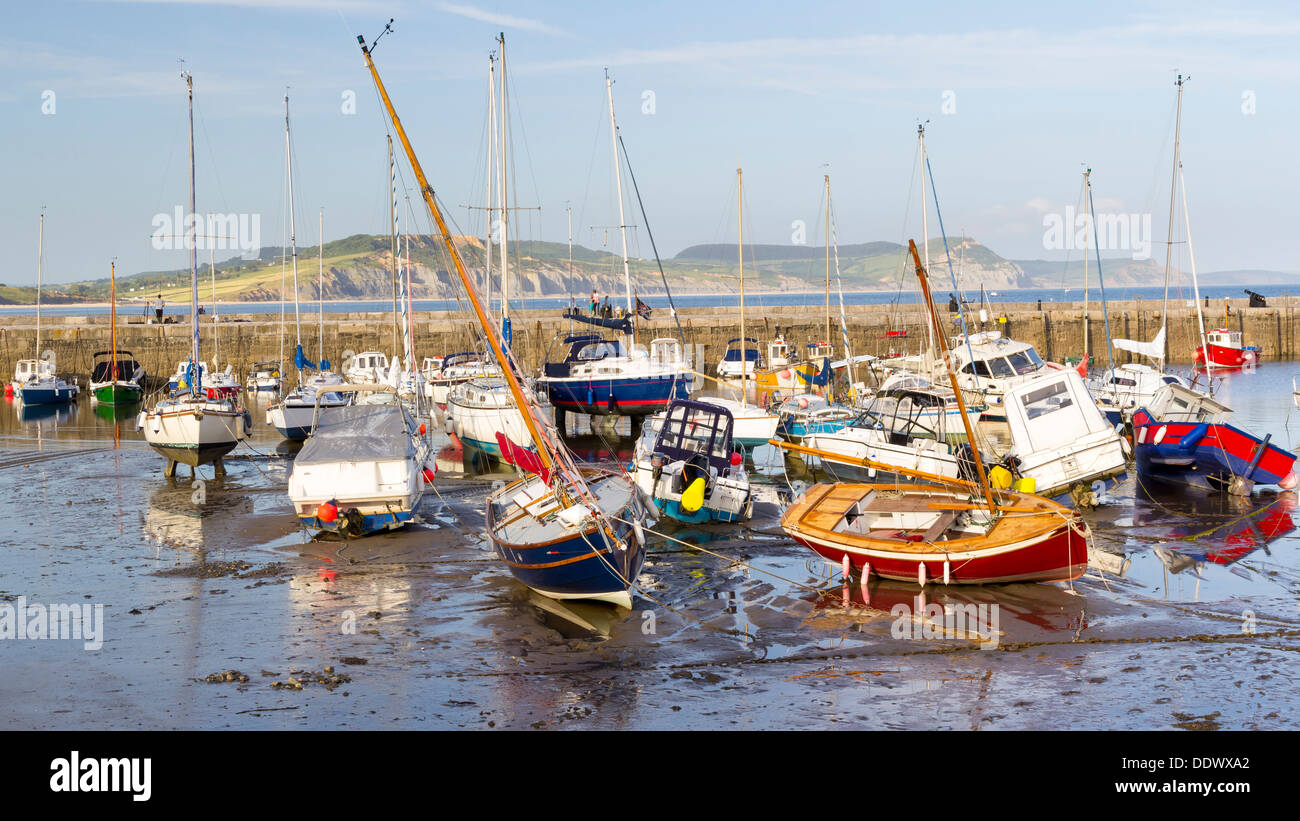 Boats in Lyme Regis Harbour Dorset England UK Europe Stock Photo