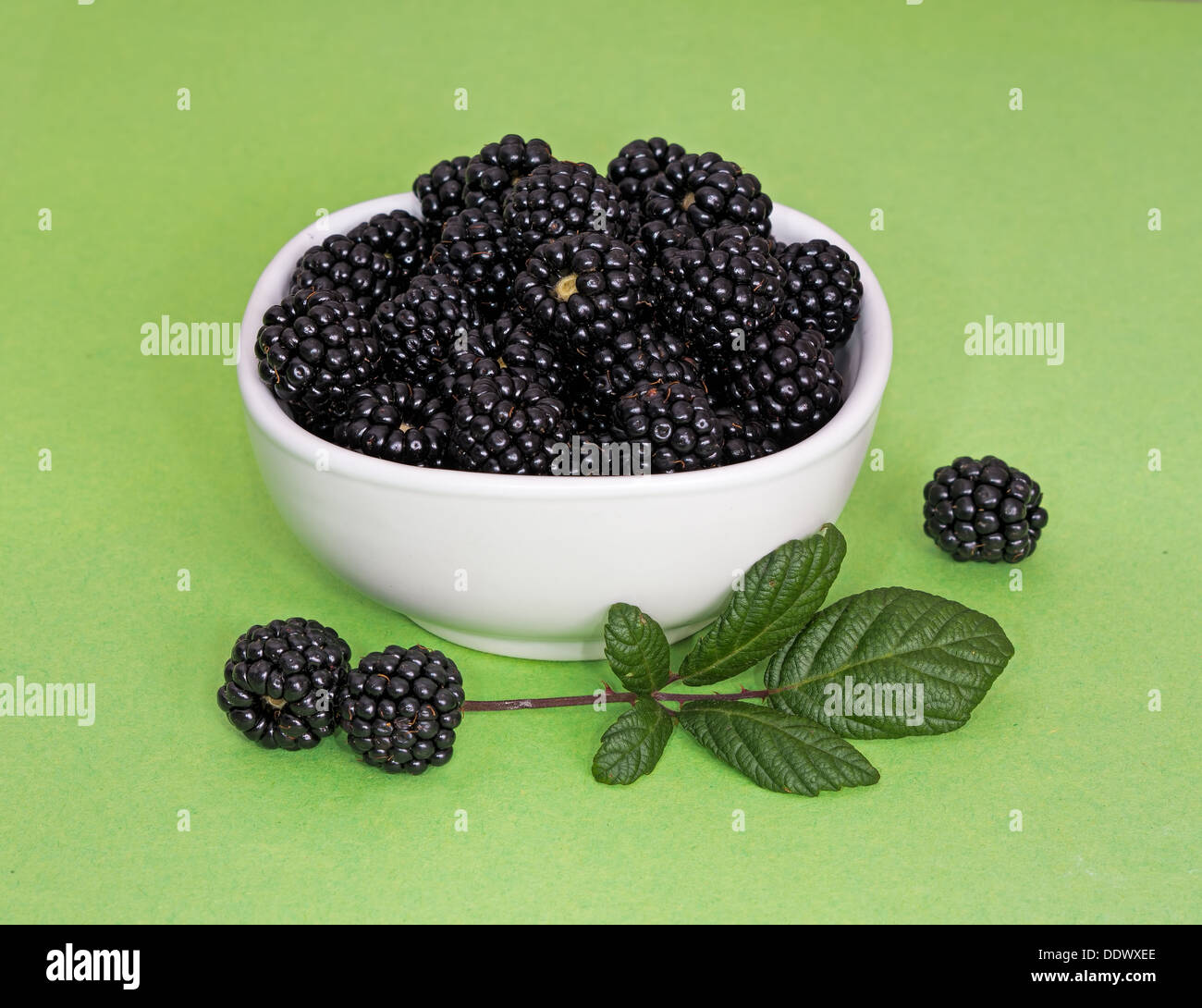 Fresh picked uncultivated berries - free food Stock Photo