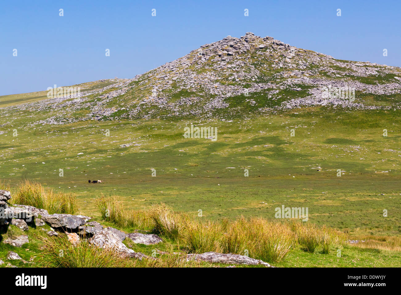 Rugged scenery on Bodmin Moor Cornwall England with Rough Tor in the distance Stock Photo