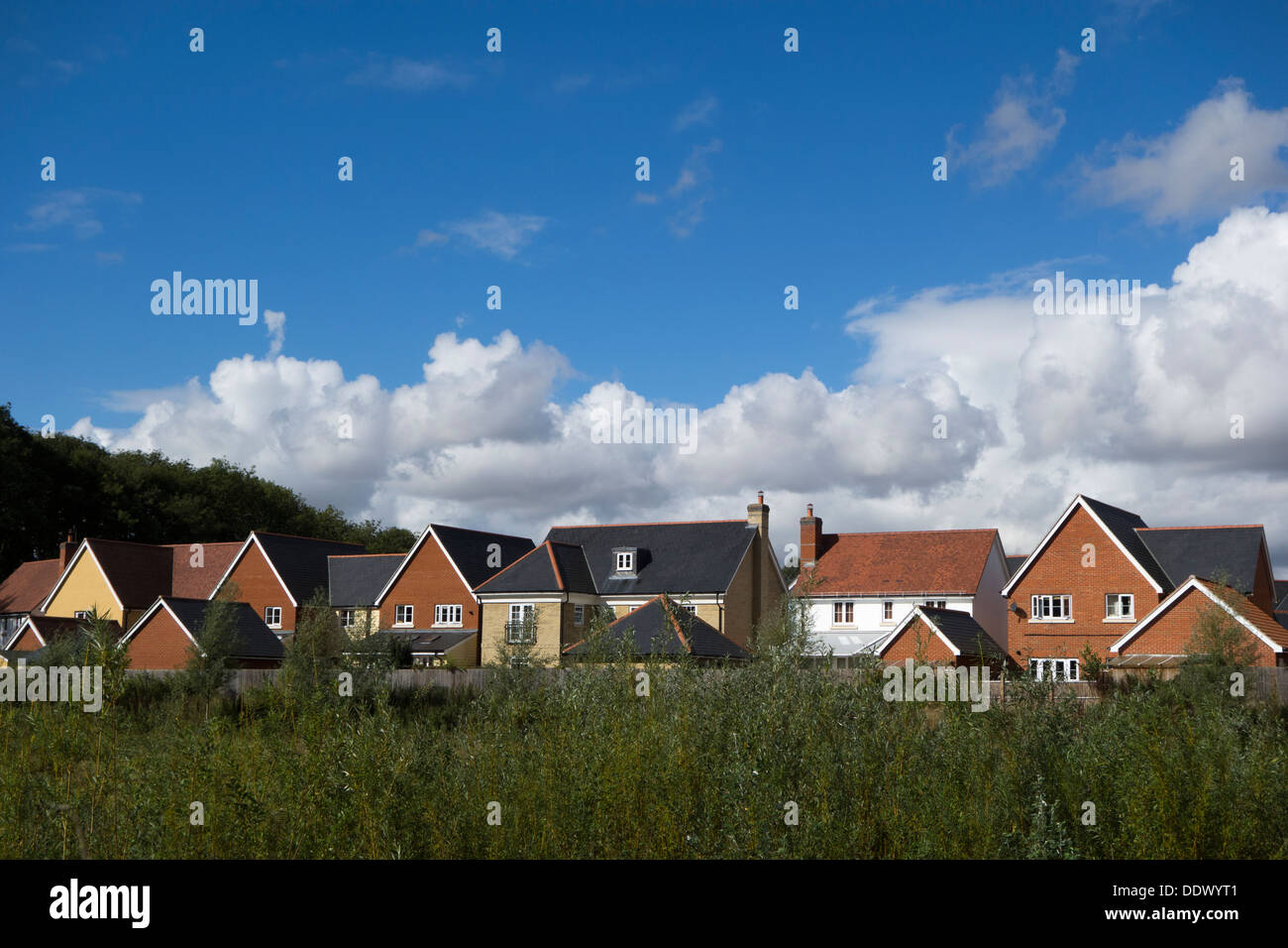 Newbuild houses on the edge of greenbelt land in England. Stock Photo