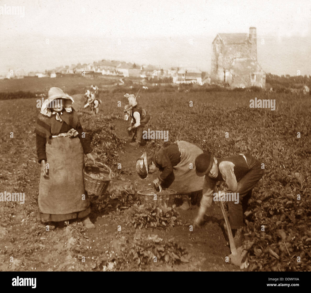 Farm workers england hires stock photography and images Alamy